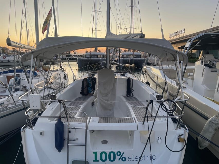 Denia: Whale and Dolphin Watching Morning Experience - Practical Details and Considerations