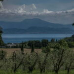 Desenzano d/G: guided bike day trip + selected wines, cooking class - What’s Included and What’s Not