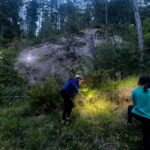 Detective Club: a nature investigation game for the whole family! - Final Thoughts: Is This the Right Activity for You?