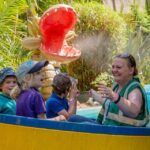 Devon: Watermouth Family Theme Park and Castle Entry - An In-Depth Look at the Watermouth Experience