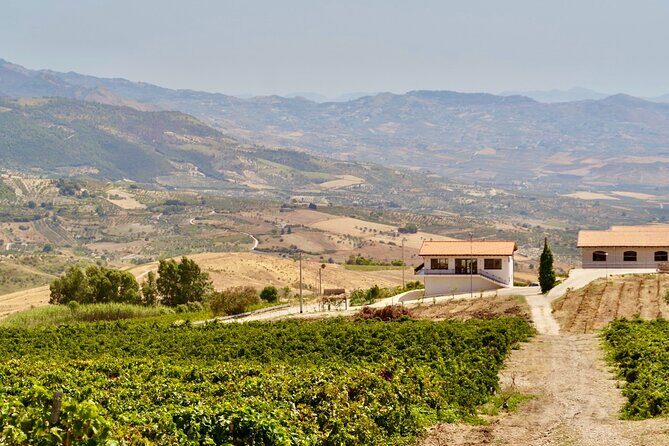 Di Giovanna Winery Tour & 5 Wine Tasting - What Travelers Say: Authentic Insights