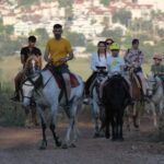 Didim Horse Safari - What to Expect During the Tour