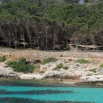 Dinghy excursion to the Egadi Islands with tasting on board - Frequently Asked Questions