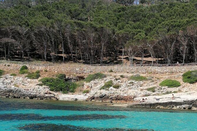 Dinghy excursion to the Egadi Islands with tasting on board - Frequently Asked Questions