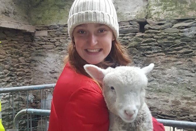 Dingle: Slea Head Drive Tour 3hr- Personal Chauffeur Guide - FAQ