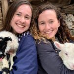 Dingle Town & Peninsula Private Chauffeur Driven Day Tour From Killarney Luxury - Pricing and Value Analysis