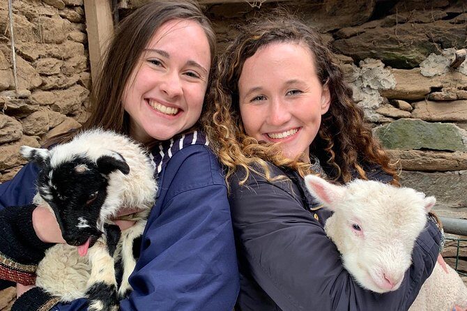 Dingle Town & Peninsula Private Chauffeur Driven Day Tour From Killarney Luxury - Pricing and Value Analysis