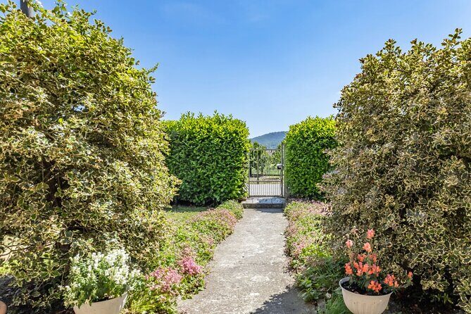 Dining Experience with cooking demo in Pavia at a local's Home - FAQ