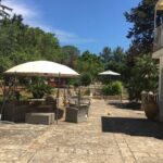 Dinner in Monopoli with the authentic Flavours of Puglia - Practical Details: What You Need to Know