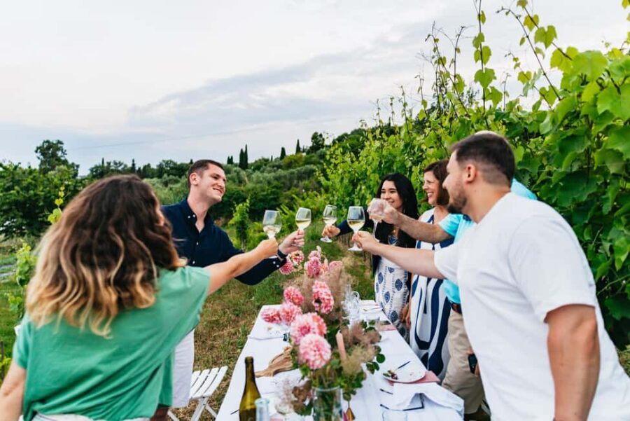 Dinner in the vineyard French Riviera - Practical Details and Considerations