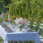 Dinner in the Vineyard Saint Tropez - The Culinary Element