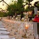 Dinner in the Vineyards - The Vineyard Dinner: Setting & Food