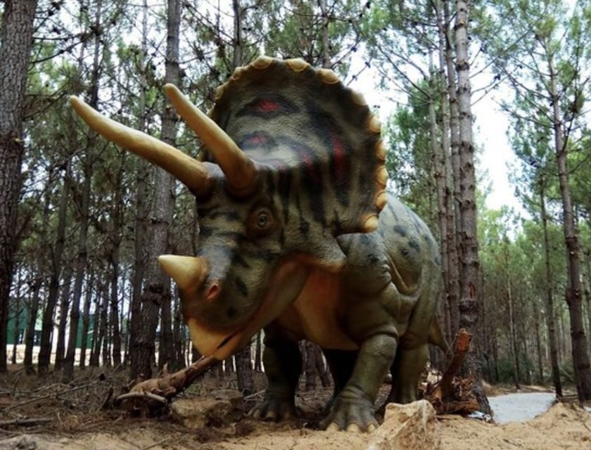 Dinosaurs Park - Family Half day tour - Who Will Benefit Most?