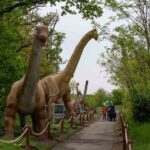 Dinosaurus amusement park - best dino experience in Prague - Who Is This Experience Best For?