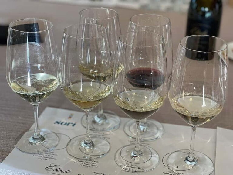 Discover Arrábida: Wine and Scenic Wonders - The Practical Side