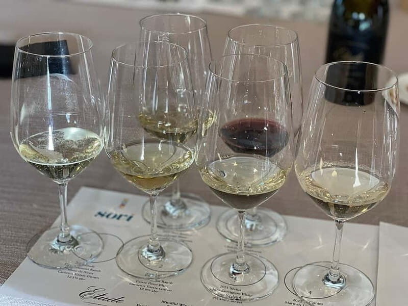 Discover Arrábida: Wine and Scenic Wonders - The Practical Side