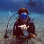 Discover beginner diving in Tenerife - Exploring the Tenerife beginner diving tour: What you can expect