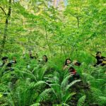 Discover Best Of Gauja National Park In One Day - Exploring Gauja National Park: Latvia’s Natural Gem