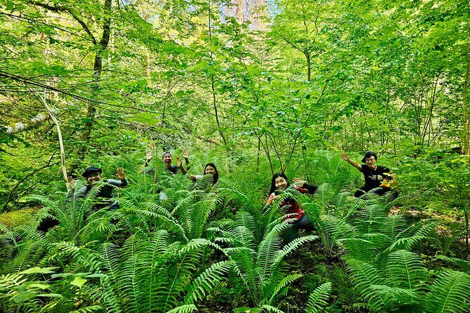 Discover Best Of Gauja National Park In One Day - Exploring Gauja National Park: Latvia’s Natural Gem