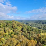 Discover Best of Sigulda and Gauja National Park In One Day - Final Thoughts: Is This Tour Worth It?