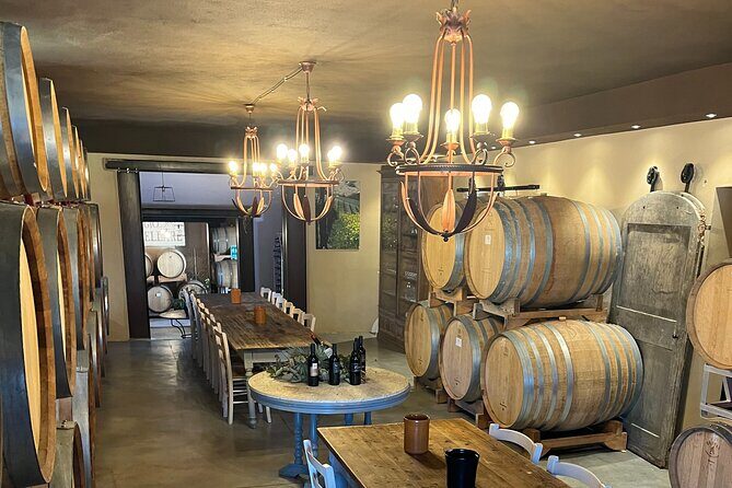 Discover Brunello Wines with DiWine Experience - Who Should Consider This Tour?