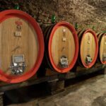 Discover Chianti Classico Wines DiWine Experience - Who Should Consider This Tour?
