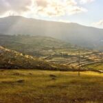 Discover Lefkes: Traditional Greek Village Paros VIP Experience - What You’ll Love