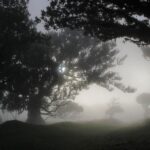 Discover Madeira's idyllic hikes & beauty on foot & wheels! - What Makes This Tour Stand Out?