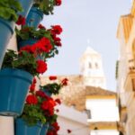 Discover Marbella's Old Town with five-star private tour - FAQ
