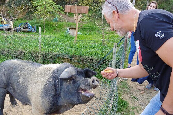 Discover Montepulciano: Cinta Senese Pigs, Lunch & wine in a Farm - Practical Details: What to Know Before You Book