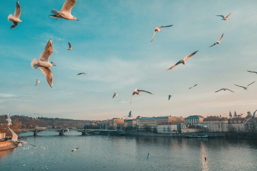 Discover Prague 4 Hours Tour Driving - Itinerary Breakdown: What You’ll See and Do