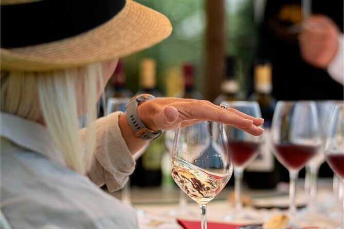 Discover San Gimignano from Livorno - The Vineyard Experience at Tenuta Torciano