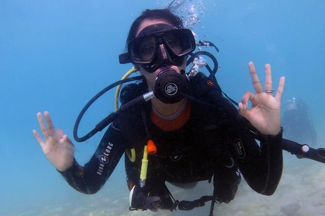 Discover Scuba Dive in Gran Canaria - Who Will Love This Tour?