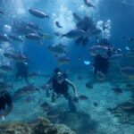 Discover Scuba Diving - Considerations & Tips for Travelers