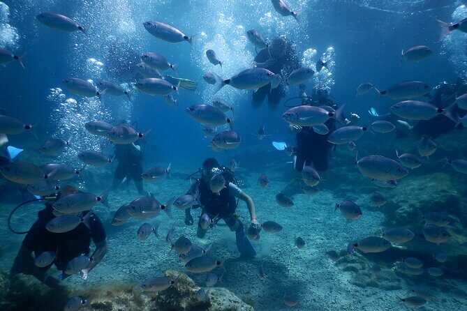Discover Scuba Diving - Considerations & Tips for Travelers