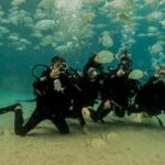 Discover Scuba Diving - What’s Included and What to Consider