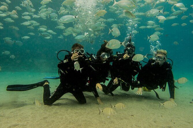 Discover Scuba Diving - What’s Included and What to Consider