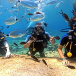 Discover Scuba Diving Experience - The Marine Life and Underwater Stops