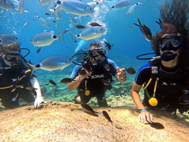 Discover Scuba Diving Experience - The Marine Life and Underwater Stops
