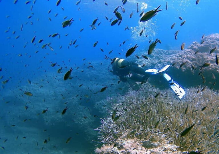 Discover Scuba Diving in Menorca: your first underwater adventure - The Value of the Experience