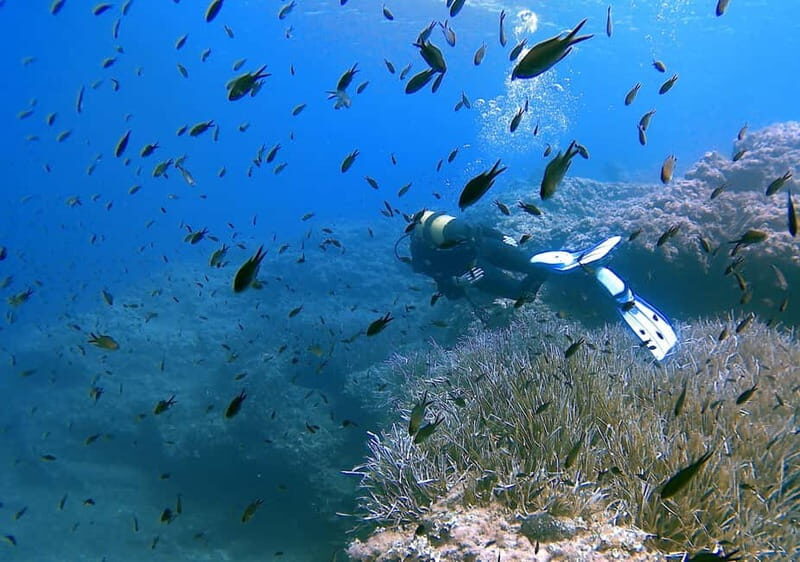 Discover Scuba Diving in Menorca: your first underwater adventure - The Value of the Experience