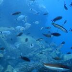 Discover Scuba Diving in Santorini - Practical Considerations