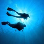 Discover Scuba Diving in Tenerife - The Value of This Experience