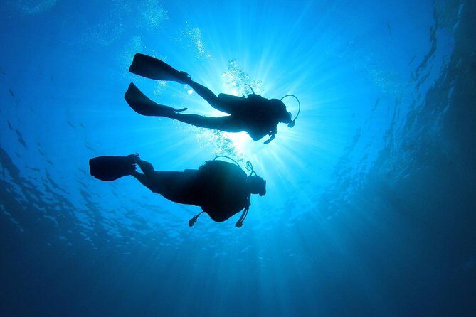 Discover Scuba Diving in Tenerife - The Value of This Experience