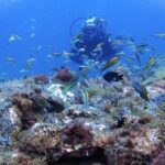 Discover Scuba Diving, Tenerife. Photos and videos included - Who Will Love This Tour?