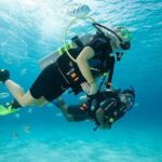 Discover Scuba Diving with two dives in the Ocean in Tenerife with Transfers - Key Points
