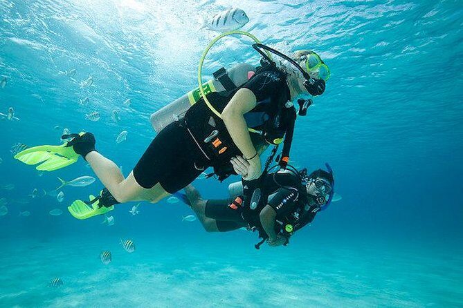 Discover Scuba Diving with two dives in the Ocean in Tenerife with Transfers - Key Points