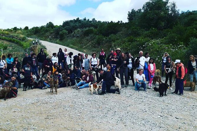 Discover Sintra's Hidden Trails: A Unique Hiking Experience - FAQ