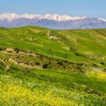 Discover South Crete  Rethymno - What’s Included and What’s Not