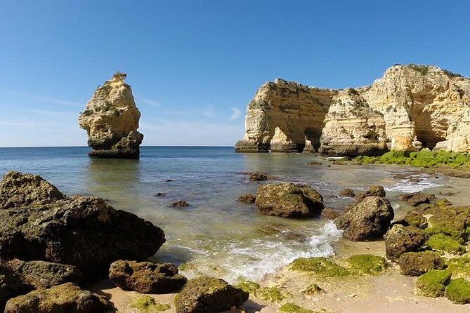 Discover The Algarve Region and The Local Gastronomy - What We Loved About This Tour